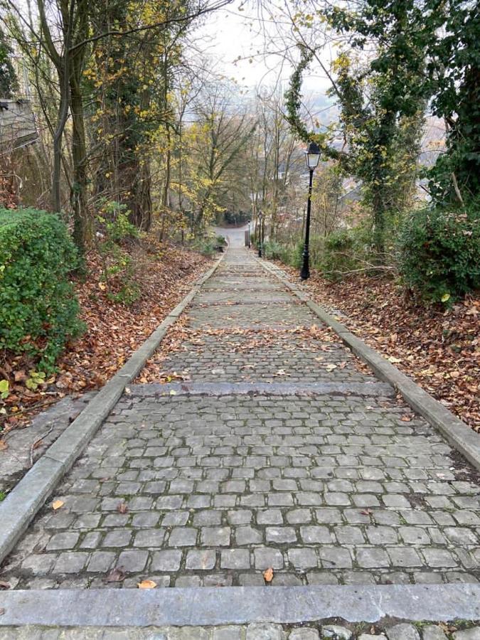 Vakantiewoning De Kassei Geraardsbergen Max 12Personen Luaran gambar