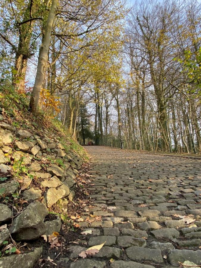 Vakantiewoning De Kassei Geraardsbergen Max 12Personen Luaran gambar